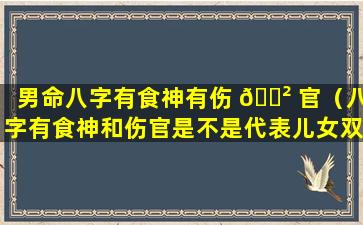 男命八字有食神有伤 🌲 官（八字有食神和伤官是不是代表儿女双全）